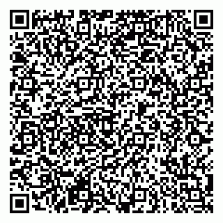 vCard 79290900151