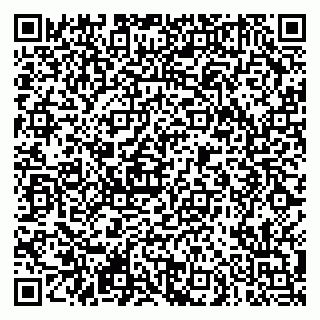 vCard 79290900153
