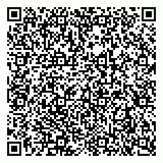 vCard 79290900160