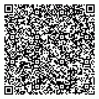 vCard 79290900163