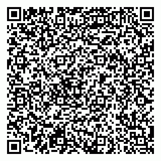 vCard 79290900169