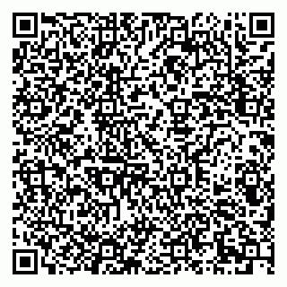 vCard 79290900171