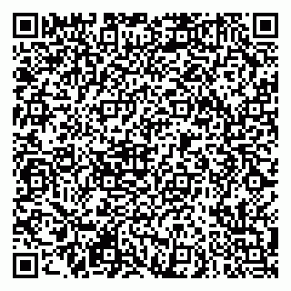 vCard 79290900175