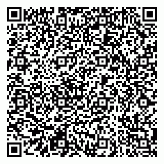 vCard 79290900176