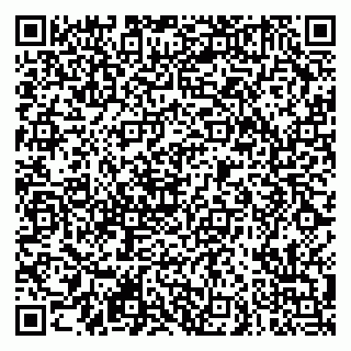 vCard 79290900177