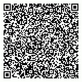vCard 79290900187