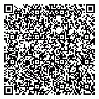 vCard 79290900199