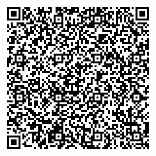 vCard 79290900201