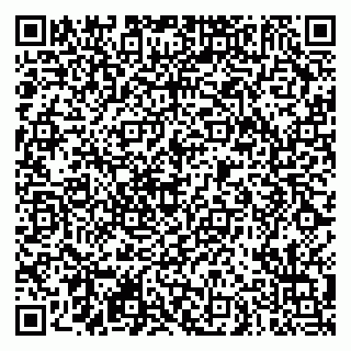 vCard 79290900203