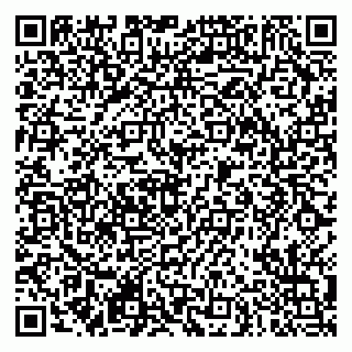 vCard 79290900205