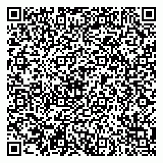 vCard 79290900206