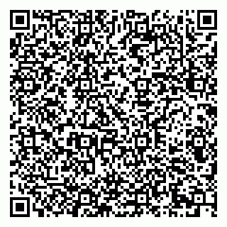 vCard 79290900207
