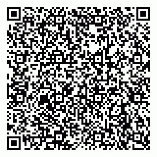 vCard 79290900209