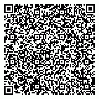 vCard 79290900210