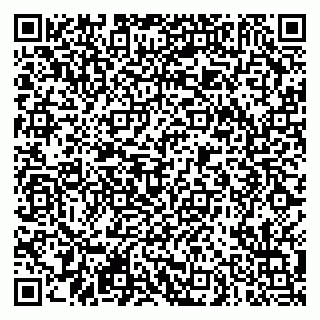 vCard 79290900211