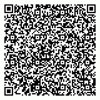 vCard 79290900238