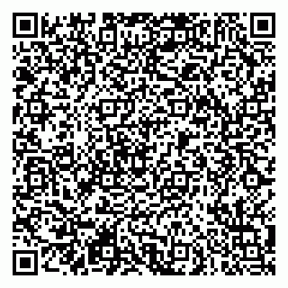 vCard 79290900251