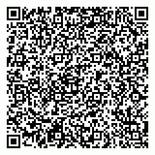 vCard 79290900265