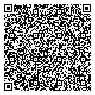 vCard 79290900293