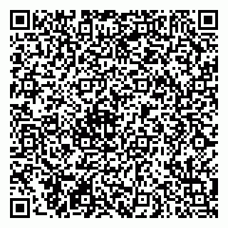 vCard 79290900299