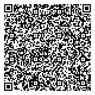 vCard 79290900300