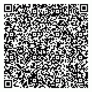 vCard 79290900304