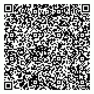 vCard 79290900318