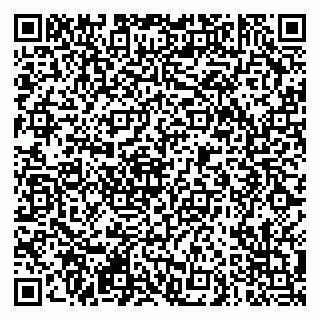 vCard 79290900326