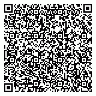 vCard 79290900329