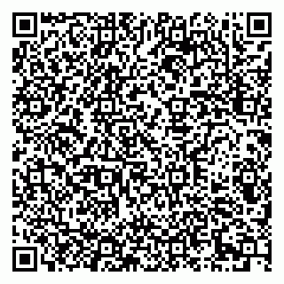 vCard 79290900335