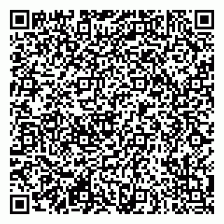 vCard 79290900347