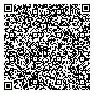 vCard 79290900348