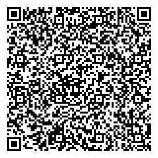 vCard 79290900351