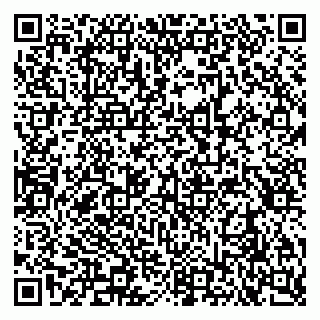 vCard 79290900368