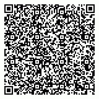 vCard 79290900379