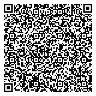vCard 79290900381