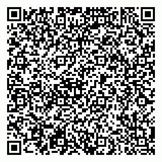 vCard 79290900385