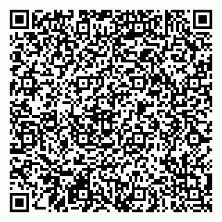 vCard 79290900387