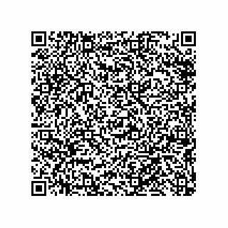 vCard 79291000173