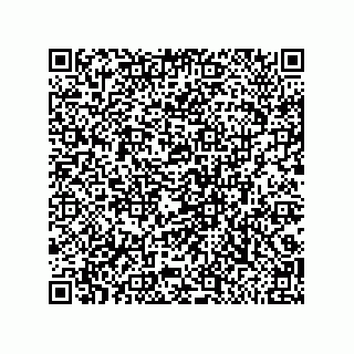 vCard 79291000279
