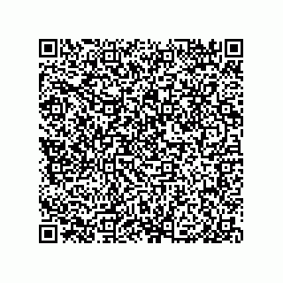 vCard 79291000403
