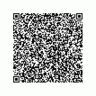 vCard 79291000404