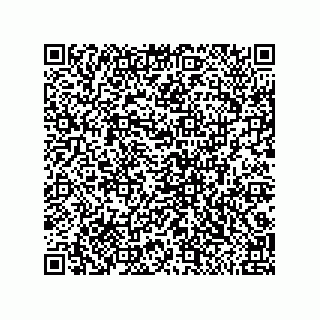 vCard 79291000418