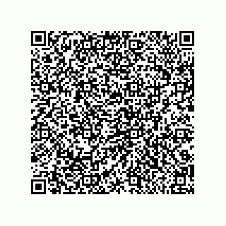 vCard 79291000511
