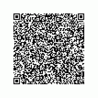 vCard 79291000529