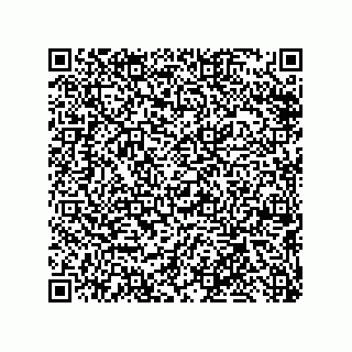 vCard 79291000545