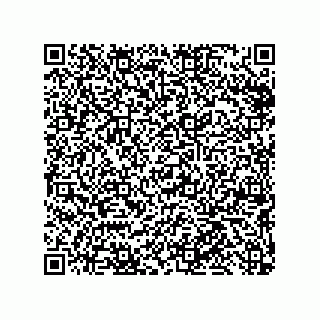 vCard 79291000613