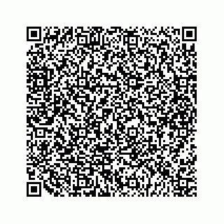 vCard 79292040003