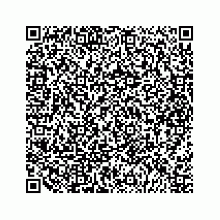 vCard 79292040004