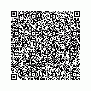vCard 79292040018